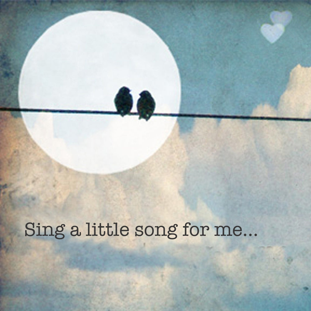 Art Block - Lost & Found - Sing a Song - Cedar Mountain Studios