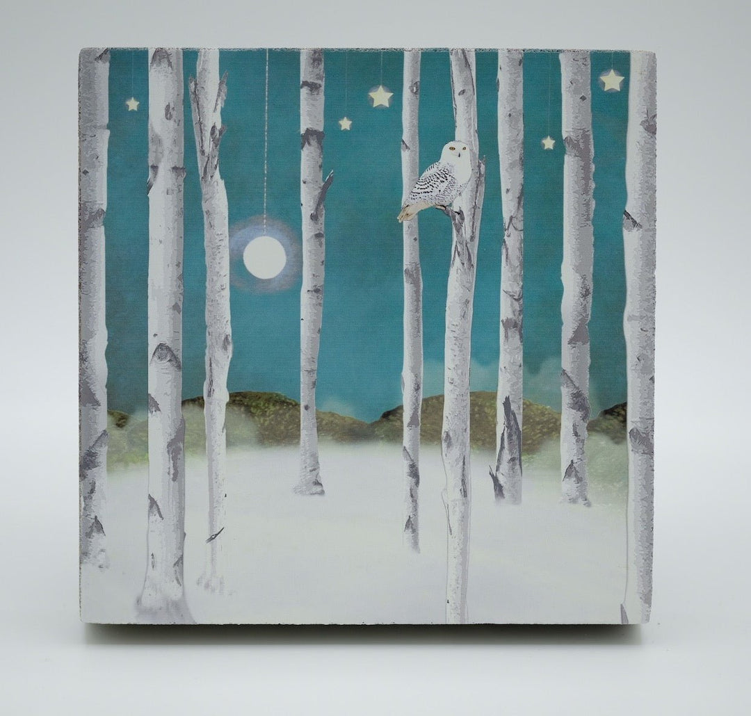 Art Block - Lost & Found - Snow Owl - Cedar Mountain Studios