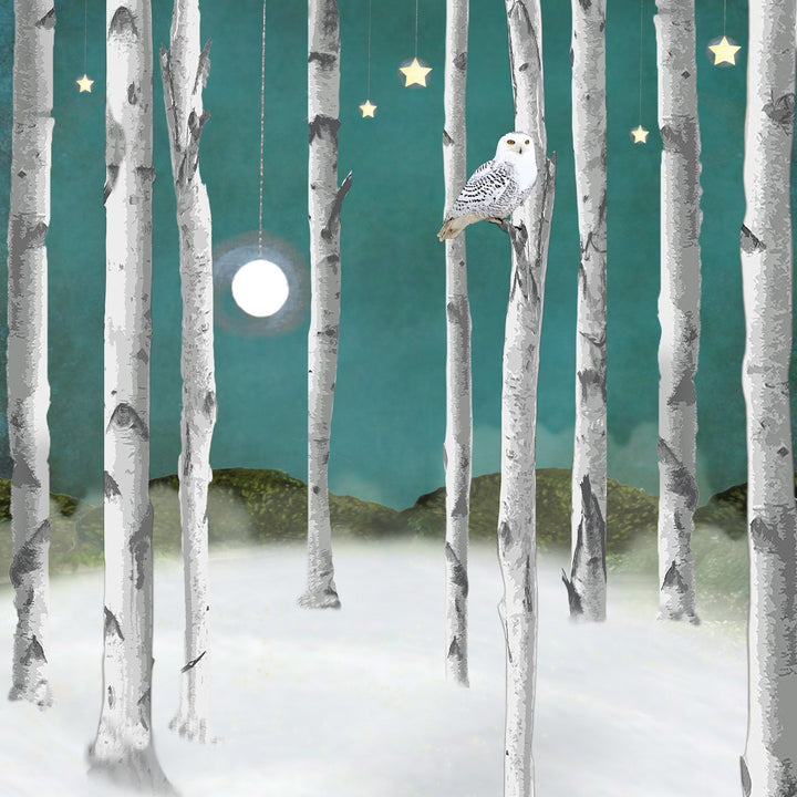 Art Block - Lost & Found - Snow Owl - Cedar Mountain Studios