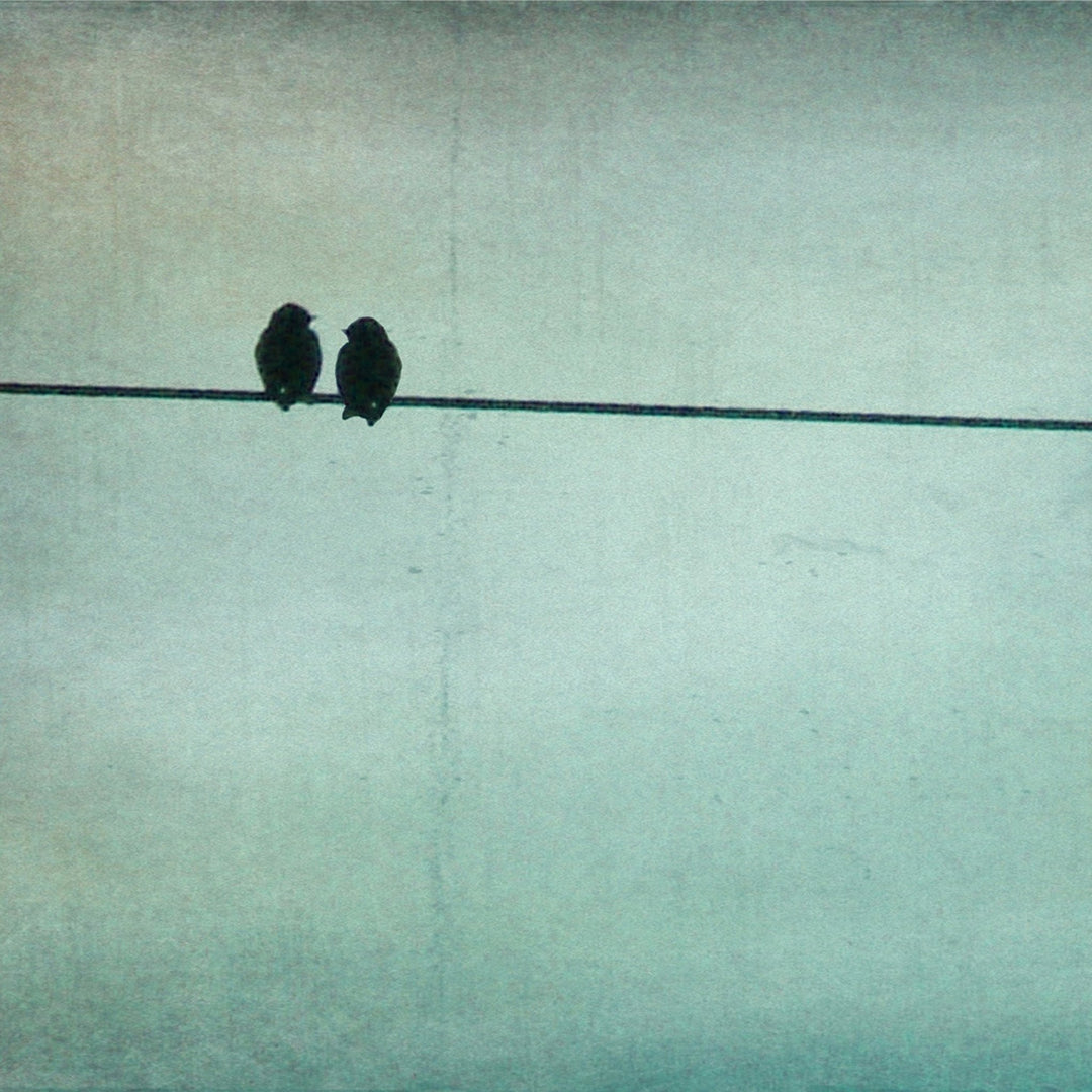 Art Block - Lost & Found - Two Little Birds - Cedar Mountain Studios