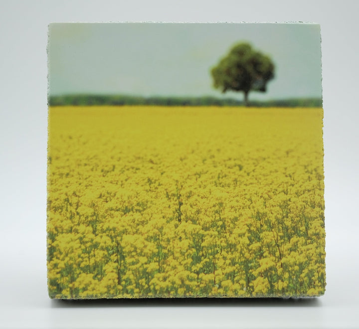 Art Block - Lost & Found - Yellow Fields - Cedar Mountain Studios