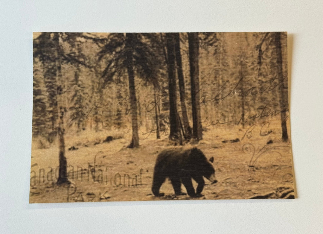 Bear Wood Postcard - Cedar Mountain Studios