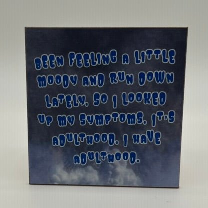 Coasters or Magnets - Been Feeling Moody - Cedar Mountain Studios