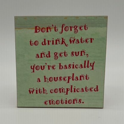 Coasters or Magnets - Don't Forget to Drink - Cedar Mountain Studios