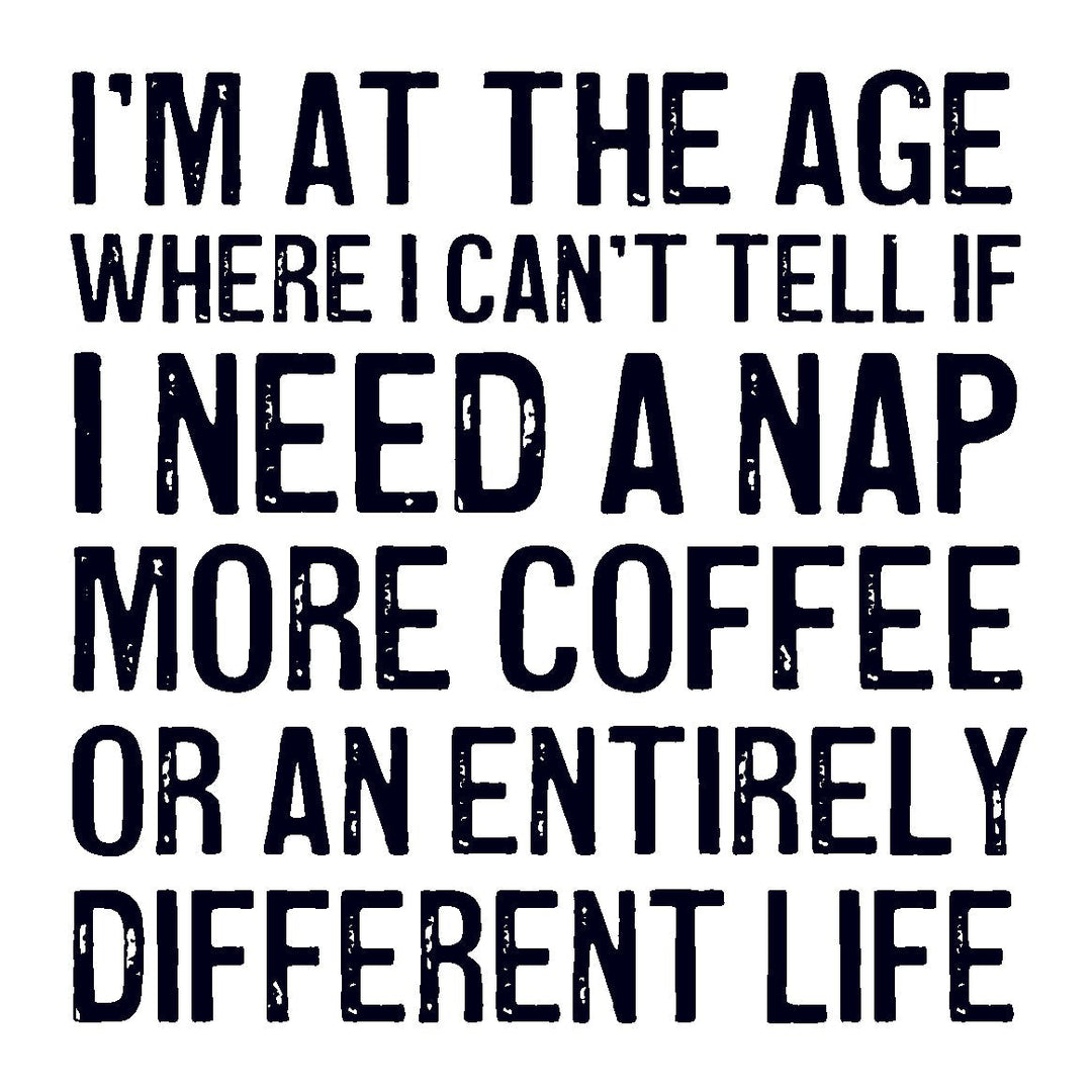 Coasters or Magnets - I'm at the age - Cedar Mountain Studios