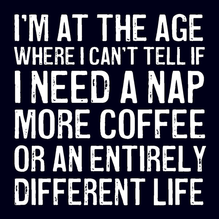 Coasters or Magnets - I'm at the age - Cedar Mountain Studios