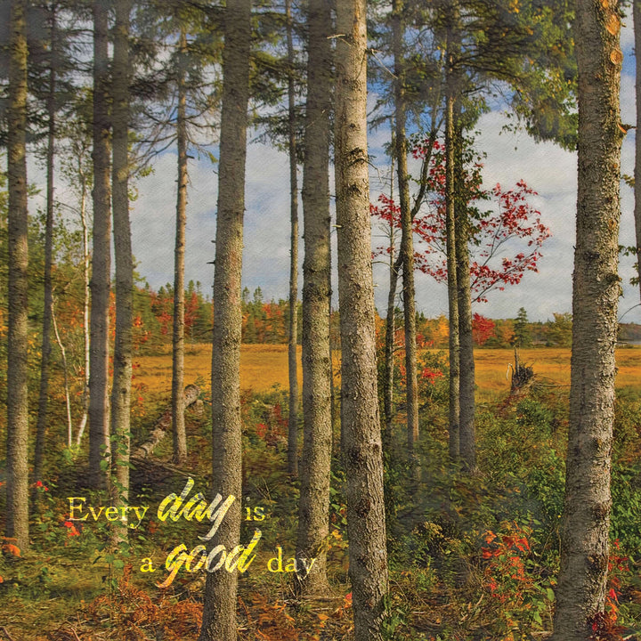 Compass Series - Every Day - Cedar Mountain Studios