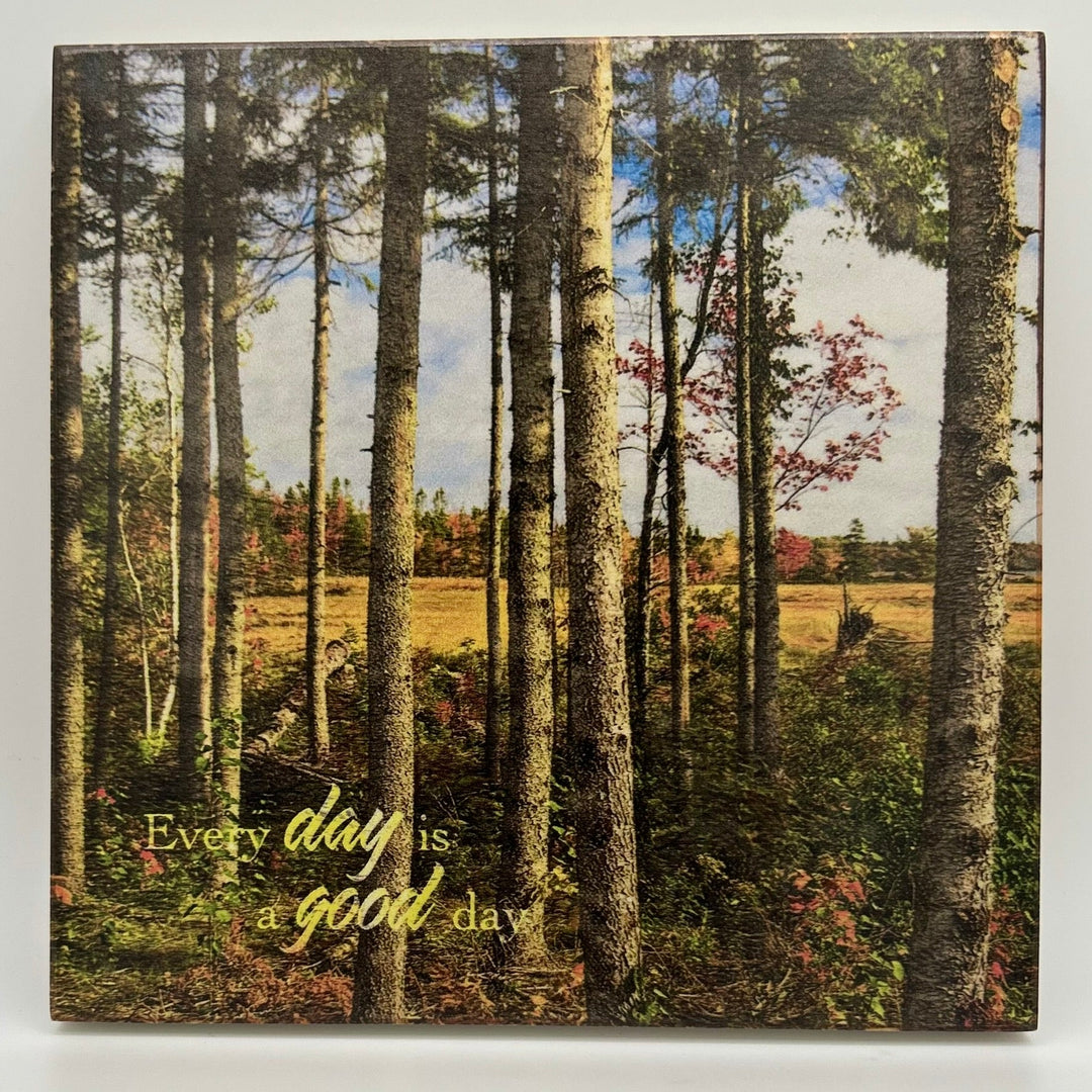 Compass Series - Every Day - Cedar Mountain Studios