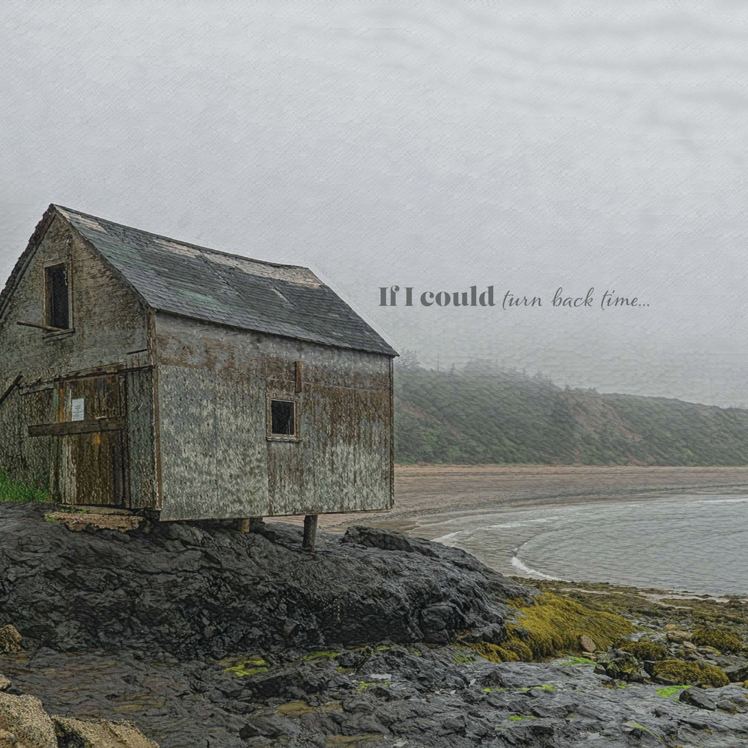 Compass Series - If I Could - Cedar Mountain Studios