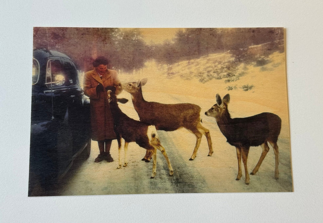 Feeding Deer Wood Postcard - Cedar Mountain Studios