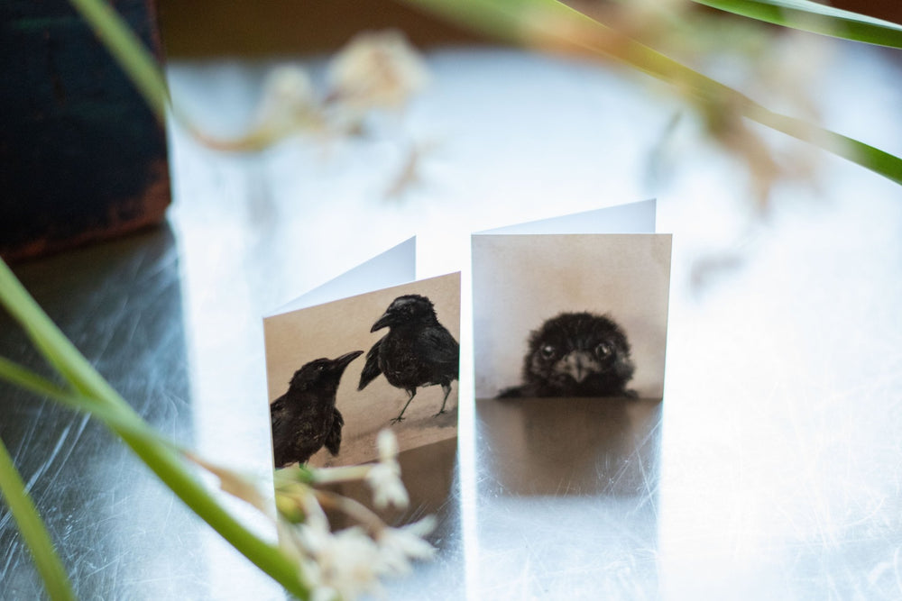 Gift Enclosure - Lost & Found - Crow Baby - Cedar Mountain Studios