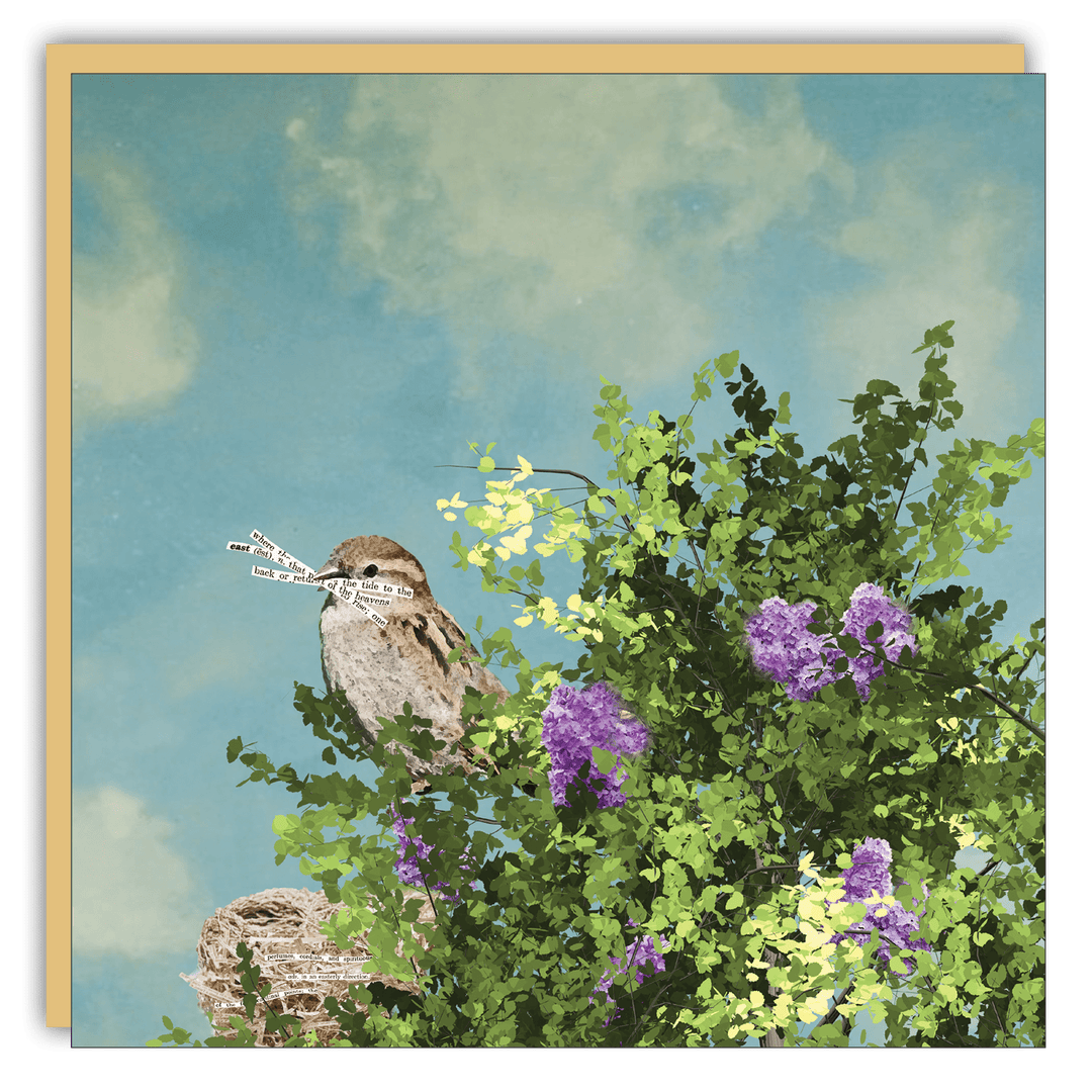 Gift Enclosure - Lost & Found - Nesting - Cedar Mountain Studios