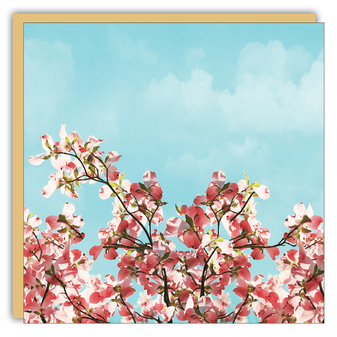 Gift Enclosure - Lost & Found - Pink Dogwoods - Cedar Mountain Studios