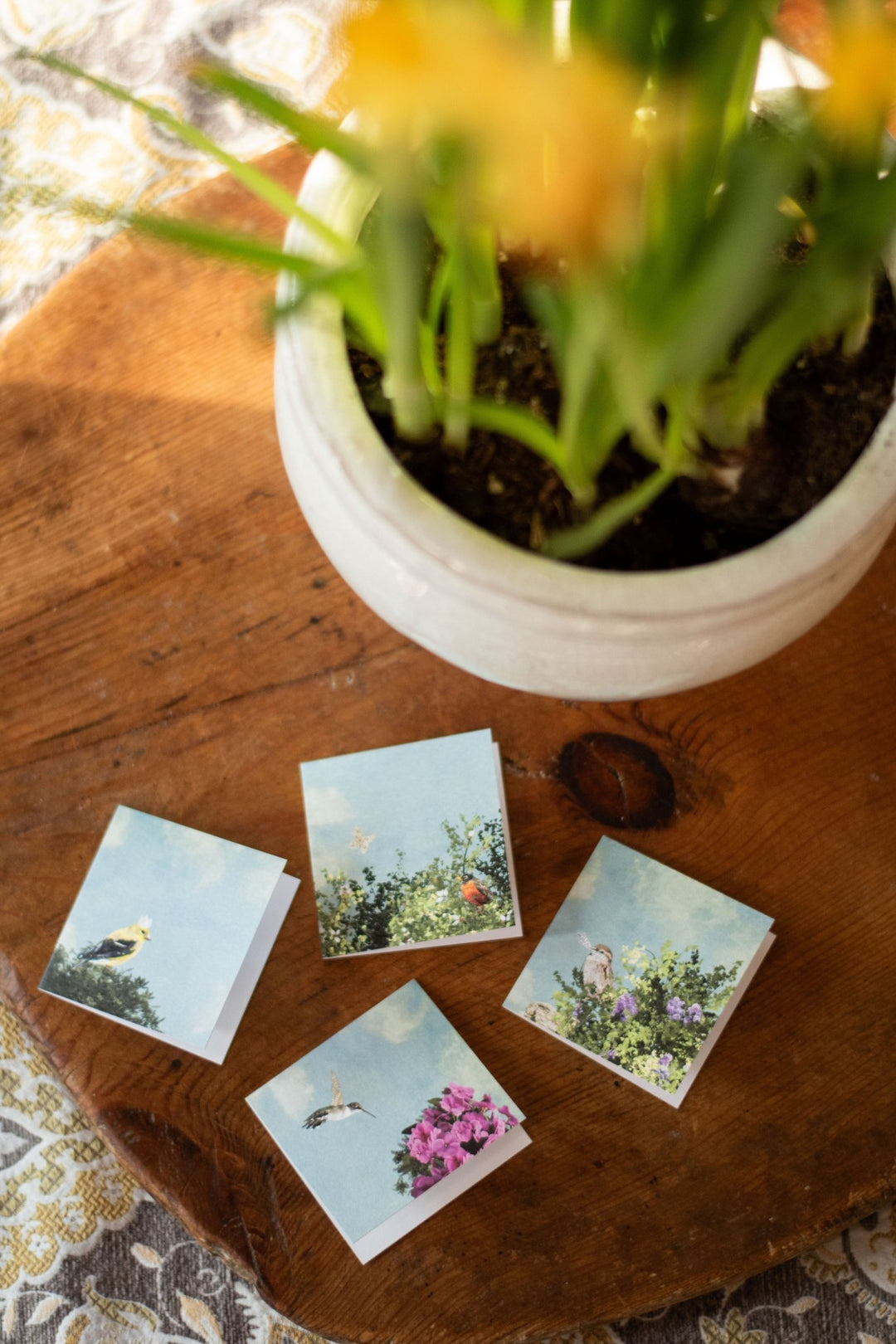 Gift Enclosure - Lost & Found - Royalty - Cedar Mountain Studios