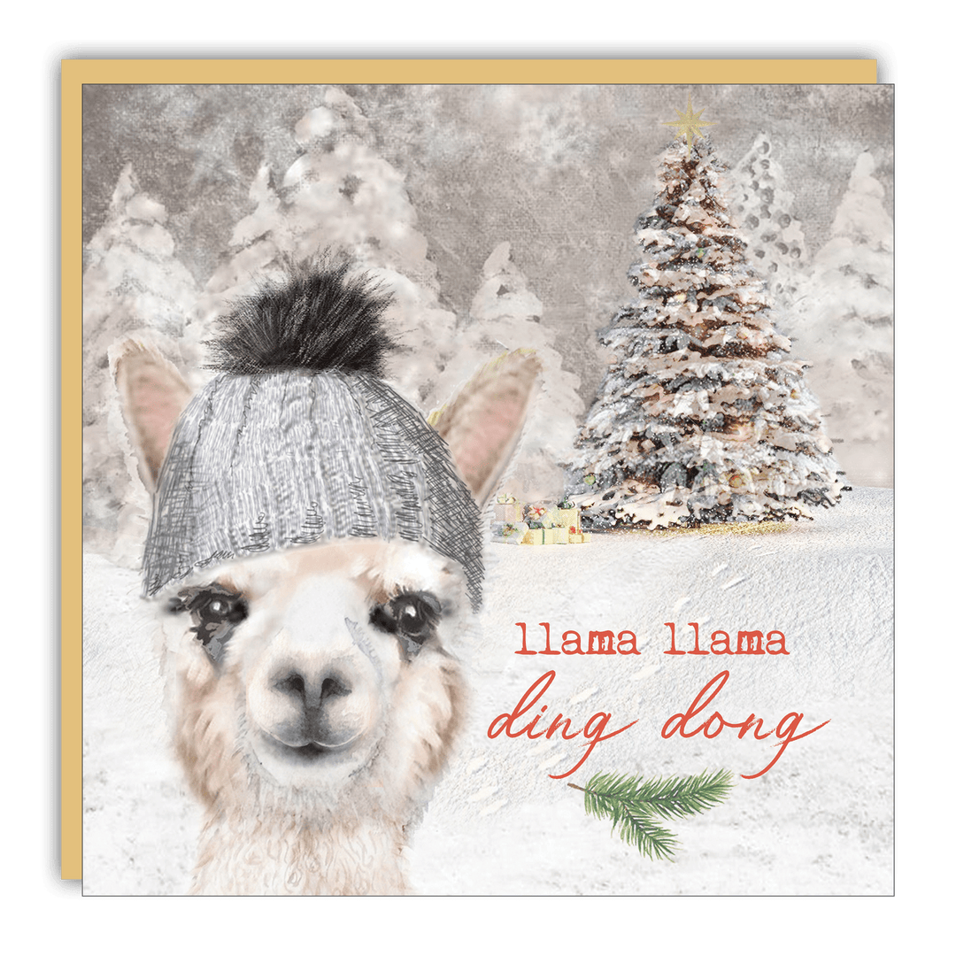 Little Notes - Lost & Found - Llama Llama Ding Dong - Cedar Mountain Studios