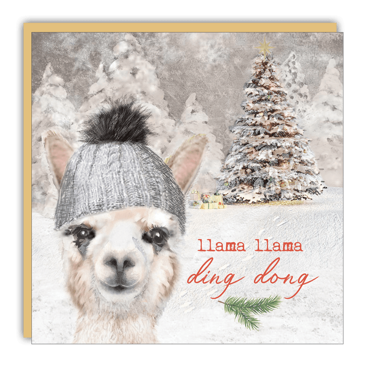 Little Notes - Lost & Found - Llama Llama Ding Dong - Cedar Mountain Studios