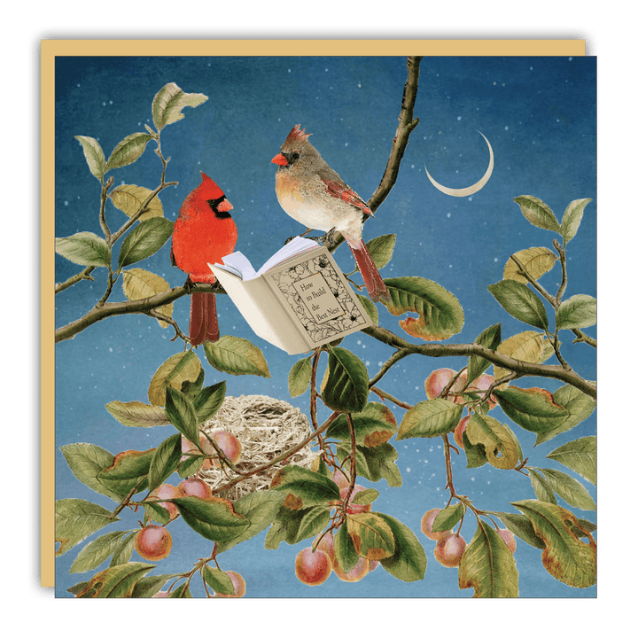 Little Notes - Lost & Found - Michelle Ciarlo-Hayes - Reading Cardinals - Cedar Mountain Studios