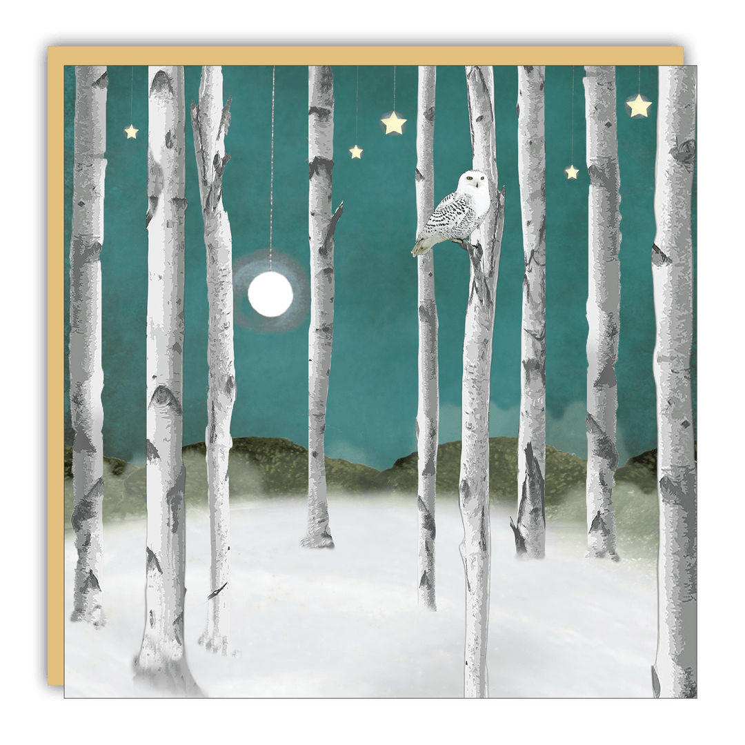 Little Notes - Lost & Found - Michelle Ciarlo-Hayes - Snow Owl - Cedar Mountain Studios