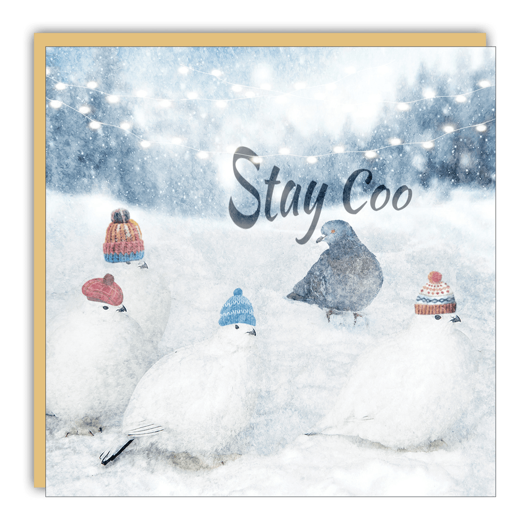 Little Notes - Lost & Found - Stay Coo - Cedar Mountain Studios