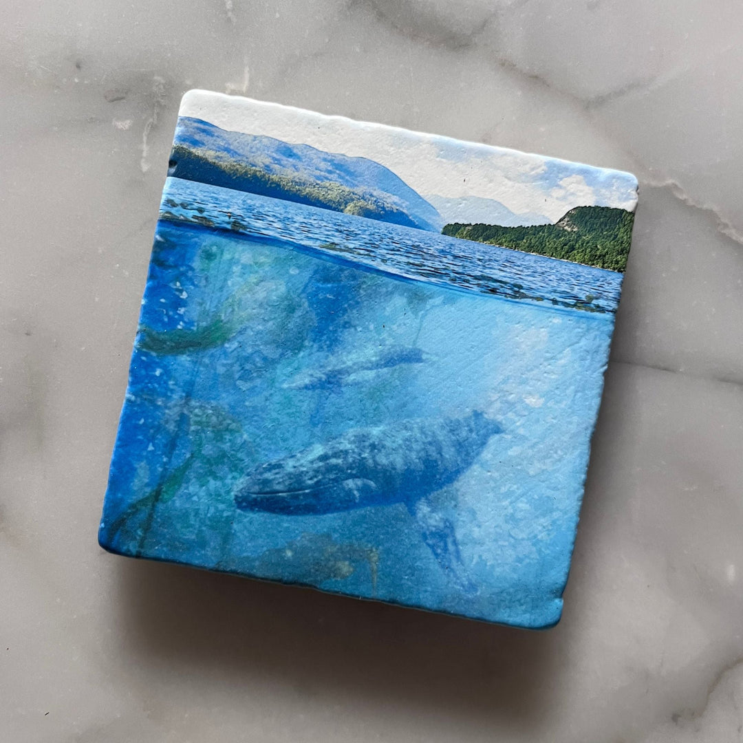 Marble Coasters - Underwater Humpback - Cedar Mountain Studios