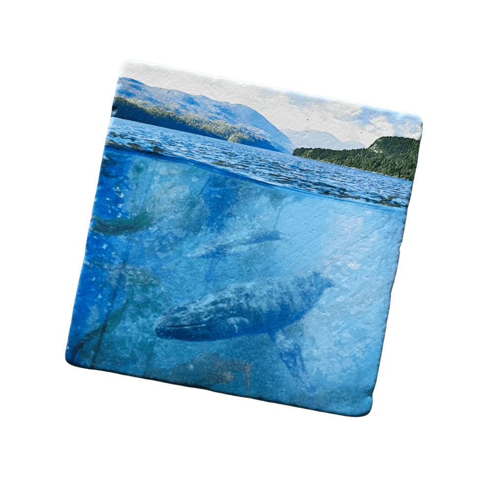 Marble Coasters - Underwater Humpback - Cedar Mountain Studios