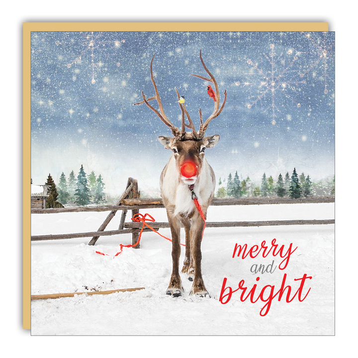 Little Notes - Lost & Found - Merry and Bright