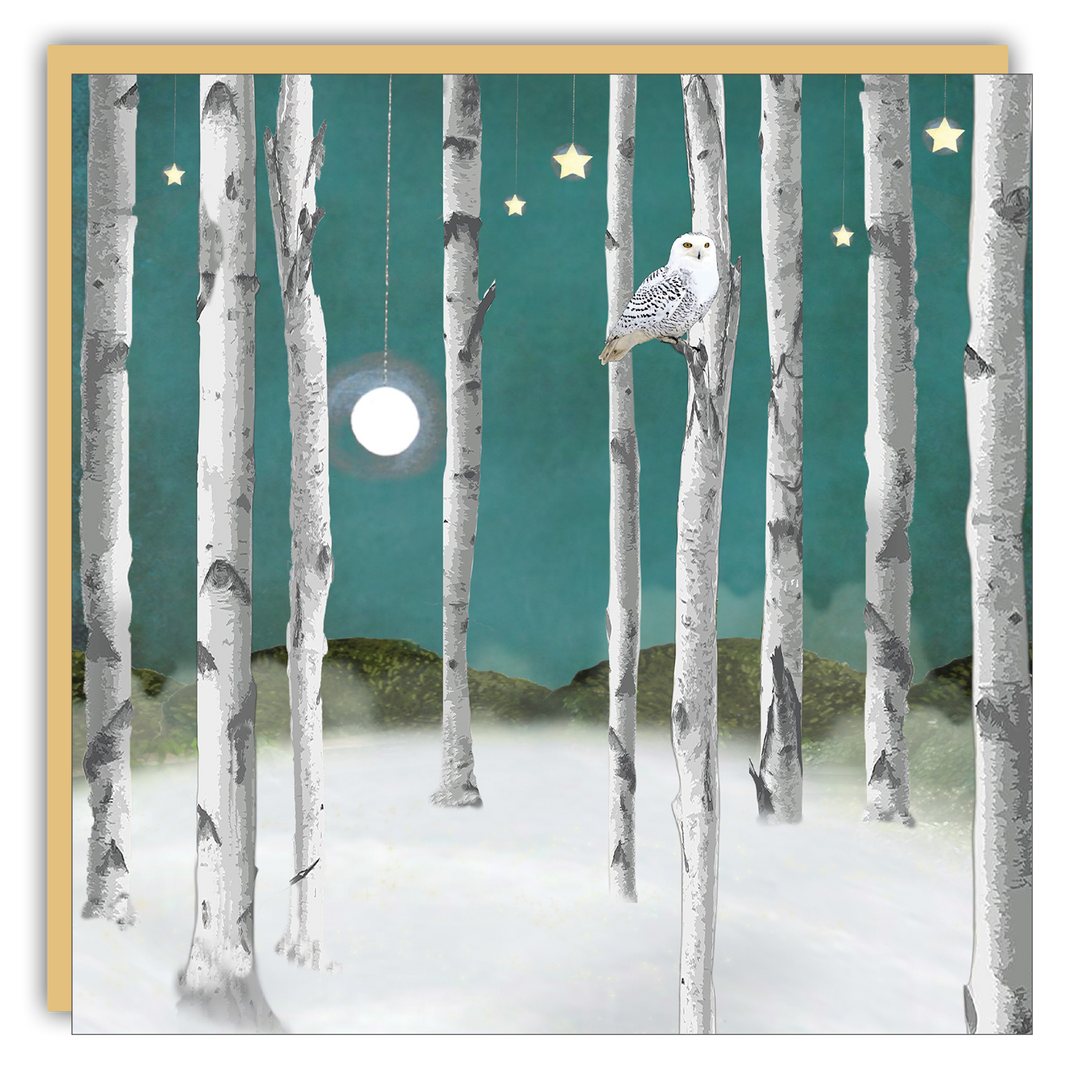 Keepsake Cards - Lost & Found Card  - Michelle Ciarlo-Hayes - Snow Owl