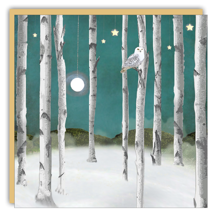Keepsake Cards - Lost & Found Card  - Michelle Ciarlo-Hayes - Snow Owl
