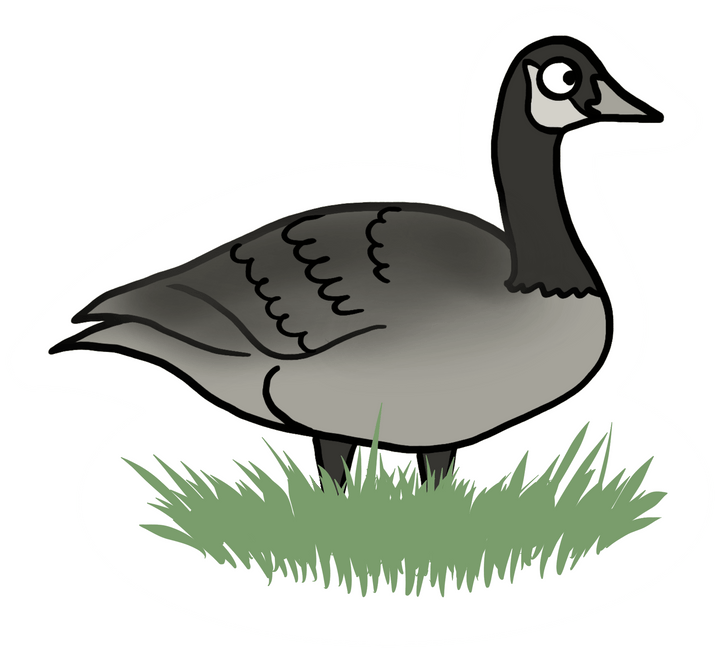 Stickers | Stick around, eh? - Goose - Cedar Mountain Studios
