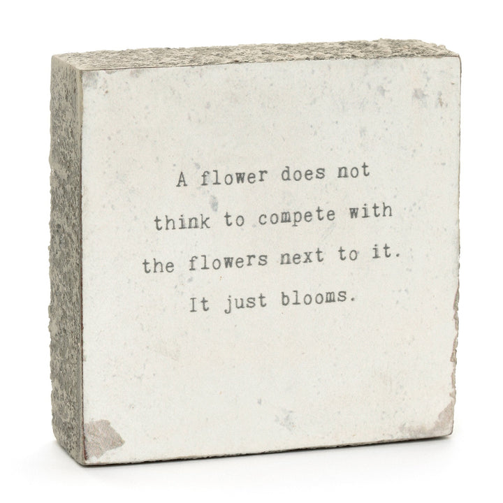 A Flower Does Not Little Gem - Cedar Mountain Studios
