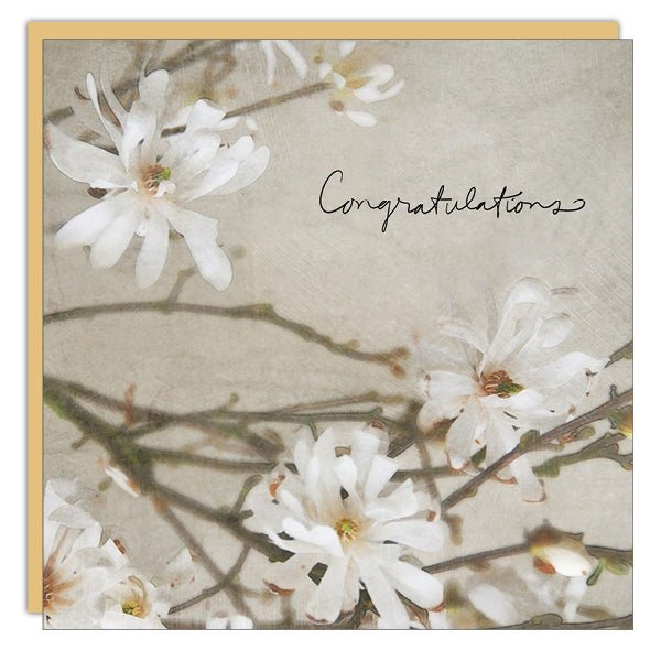 Congratulations Blossoms - Cedar Mountain Studios