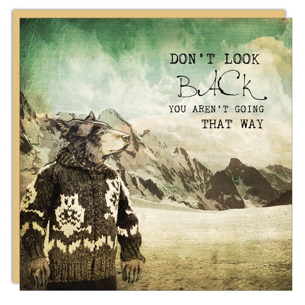 Don't Look Back - Cedar Mountain Studios
