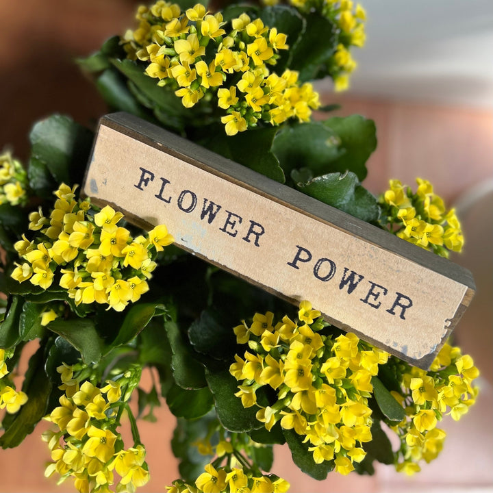 Flower Power Timber Bit - Cedar Mountain Studios