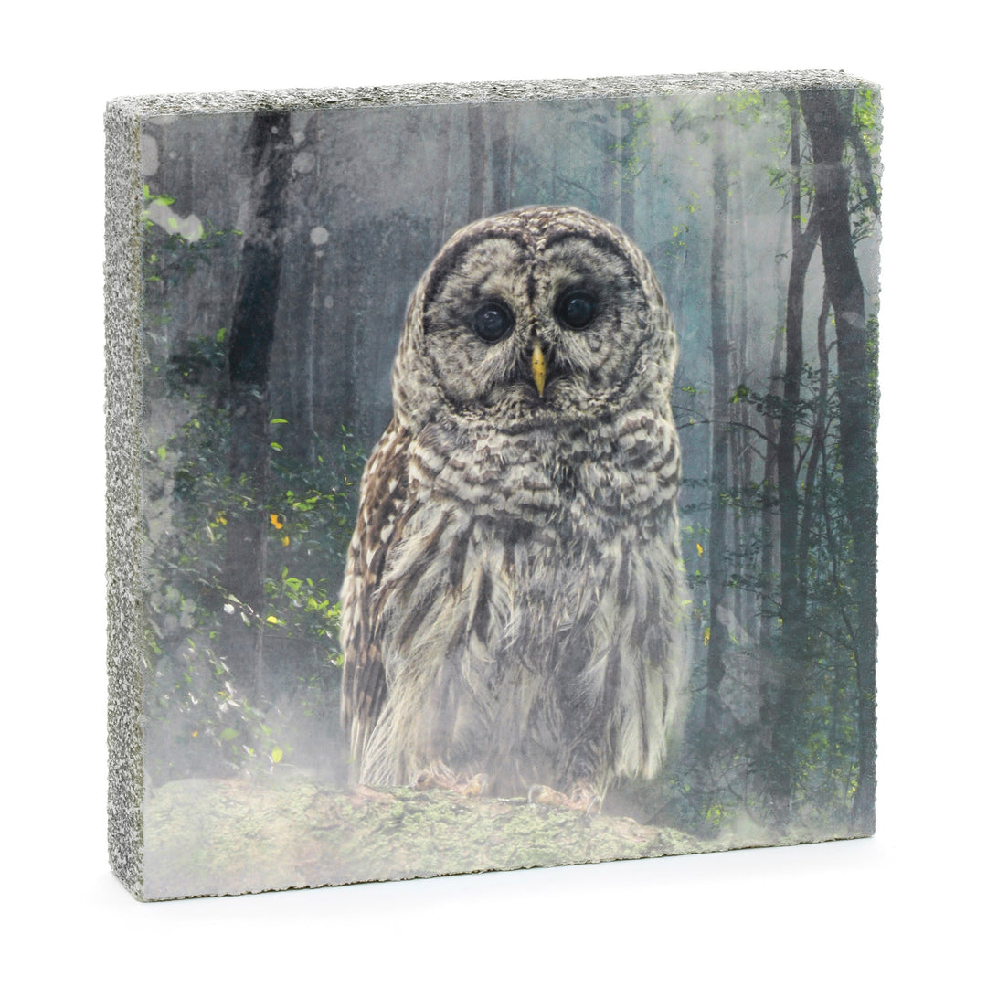 Forest Owl Art Block - Cedar Mountain Studios