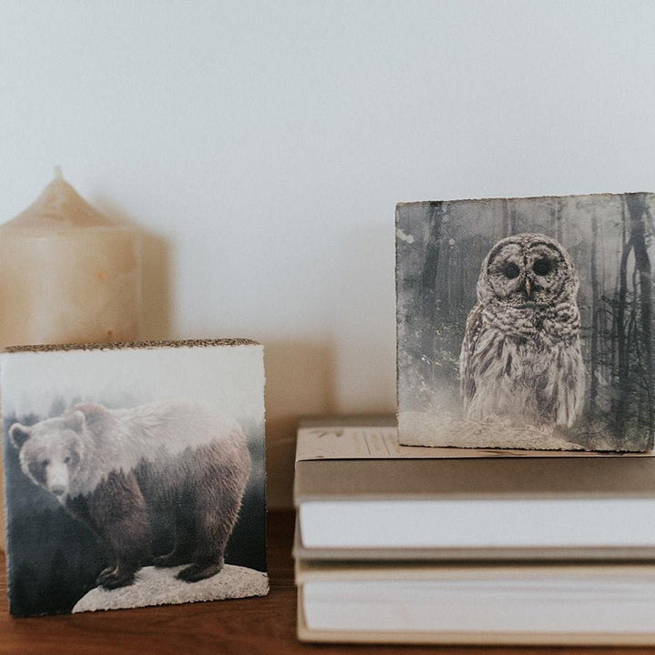 Forest Owl Art Block - Cedar Mountain Studios
