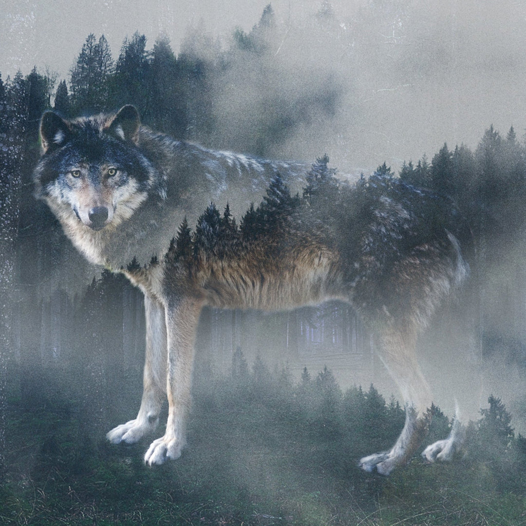 Forest Wolf Marble Coaster - Cedar Mountain Studios