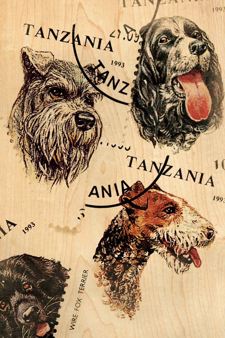 Four Dogs Wood Postcard - Cedar Mountain Studios