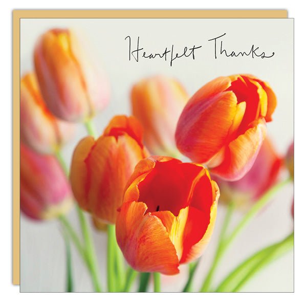 Heartfelt Thanks (Tulips) - Cedar Mountain Studios