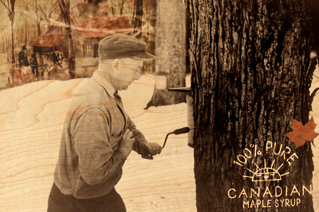 Maple Syrup Wood Postcard - Cedar Mountain Studios