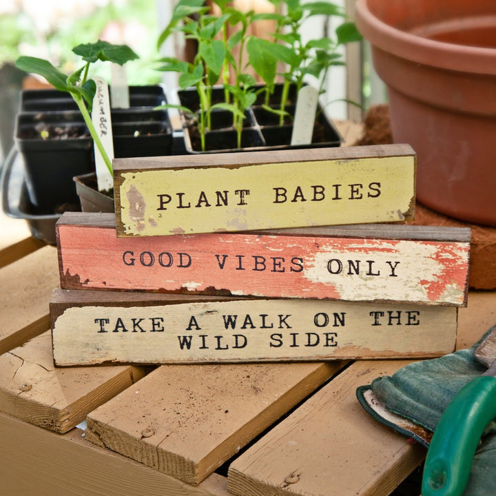 Plant Babies Timber Bit - Cedar Mountain Studios