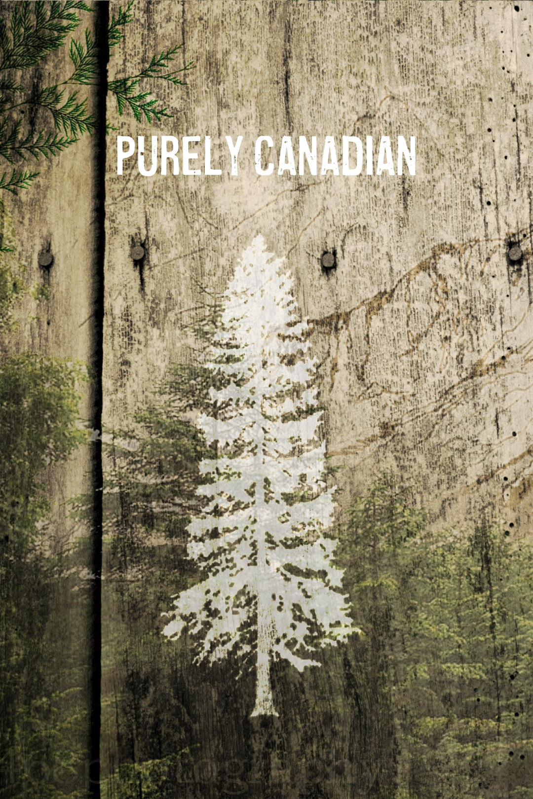 Purely Canadian Wood Postcard - Cedar Mountain Studios