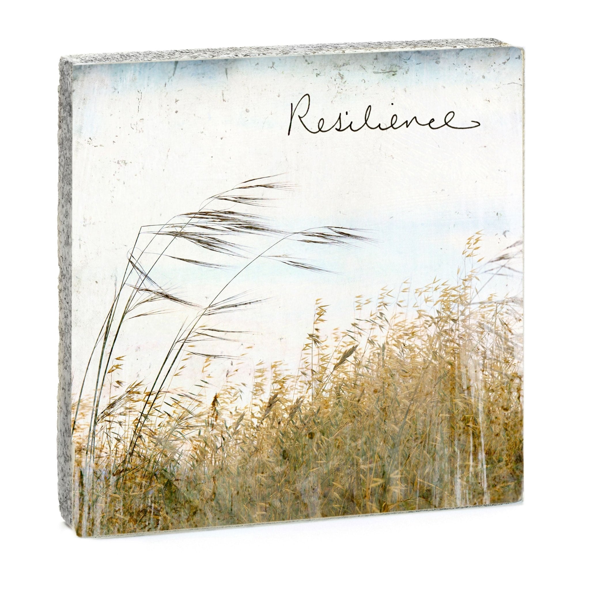 Resilience Art Block | Cedar Mountain Studios