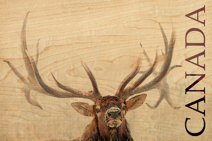Snowy Elk Wood Postcard - Cedar Mountain Studios