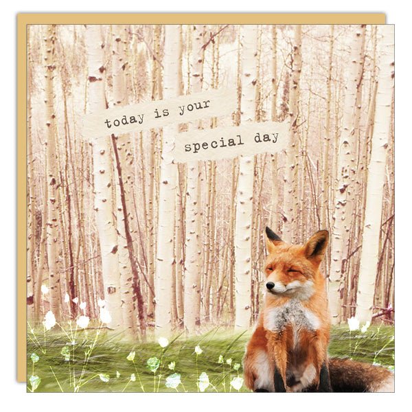 Special Day - Fox - Cedar Mountain Studios