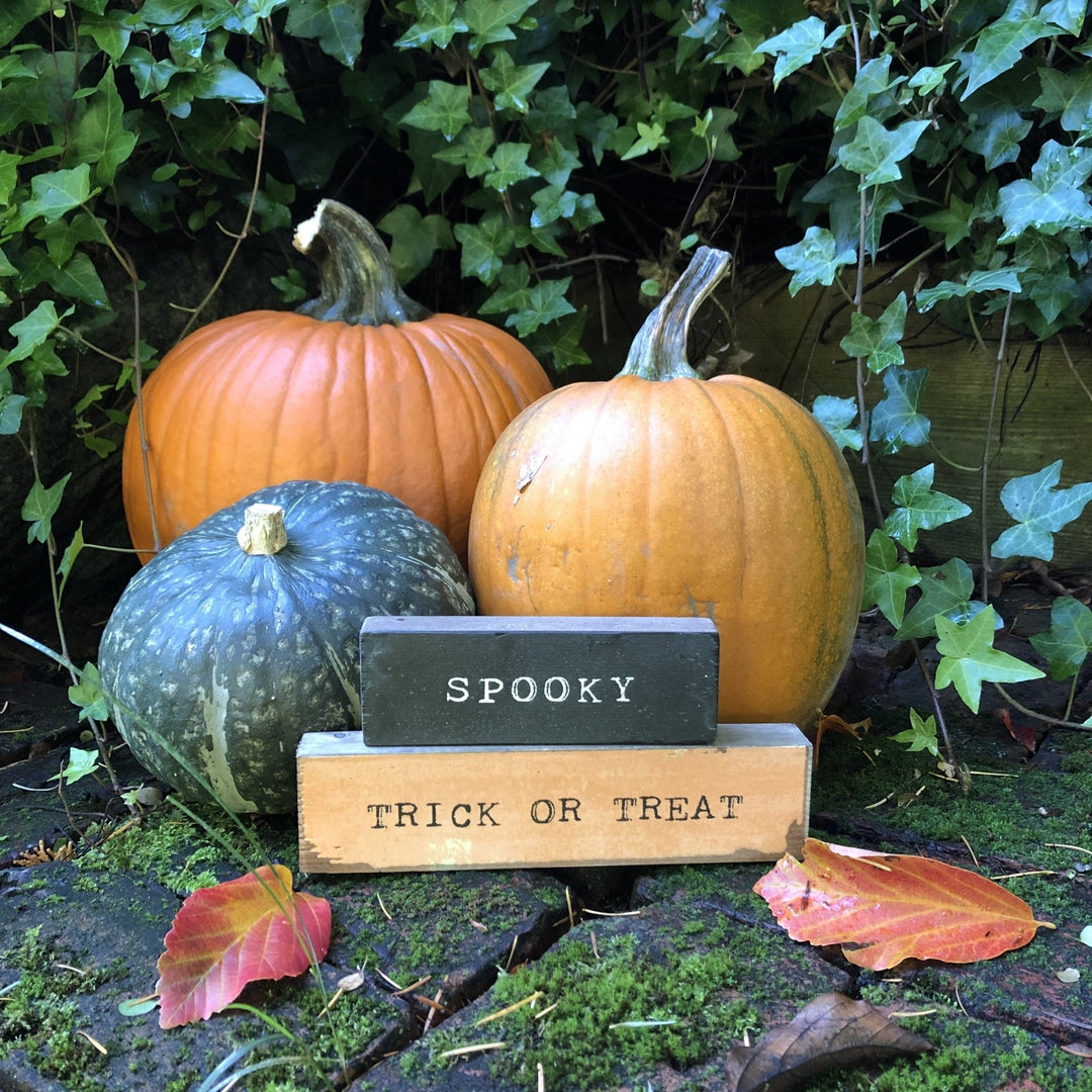 Spooky Timber Bit - Cedar Mountain Studios