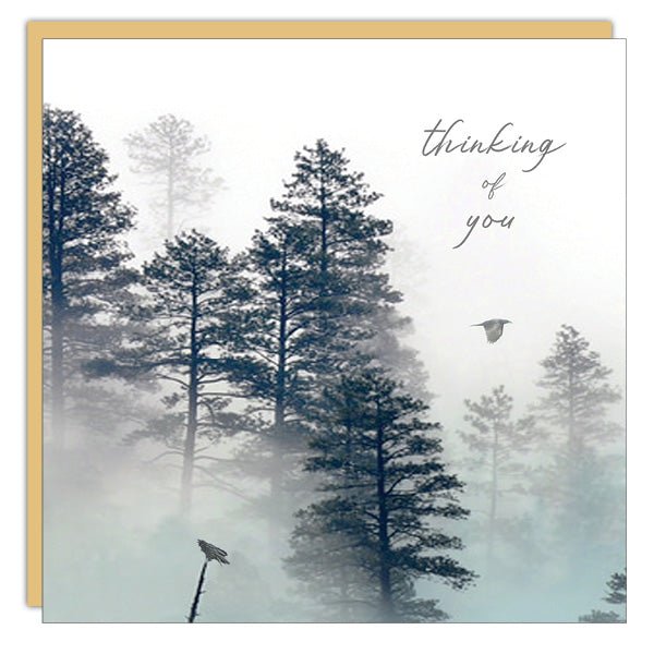 Thinking Of You - Cedar Mountain Studios