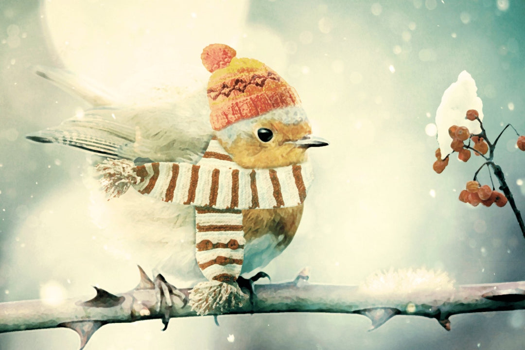 Winter Bird Postcard - Cedar Mountain Studios