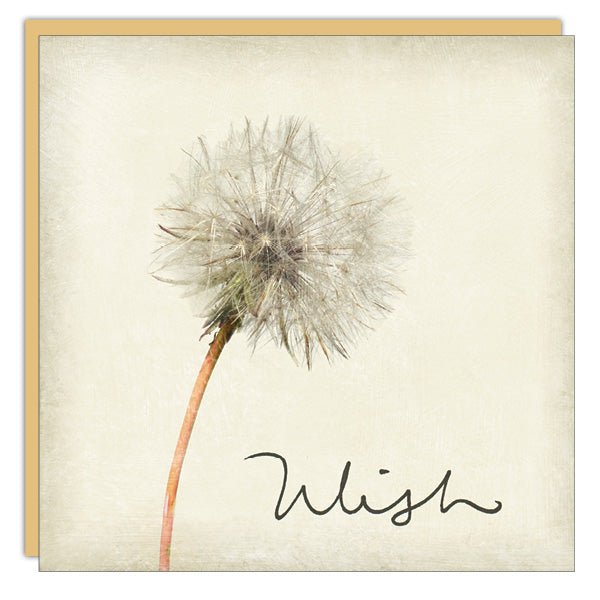 Homemade Greeting Cards - Wish - Simple Blank Cards – Cedar Mountain ...